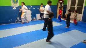 Taekwondo 15